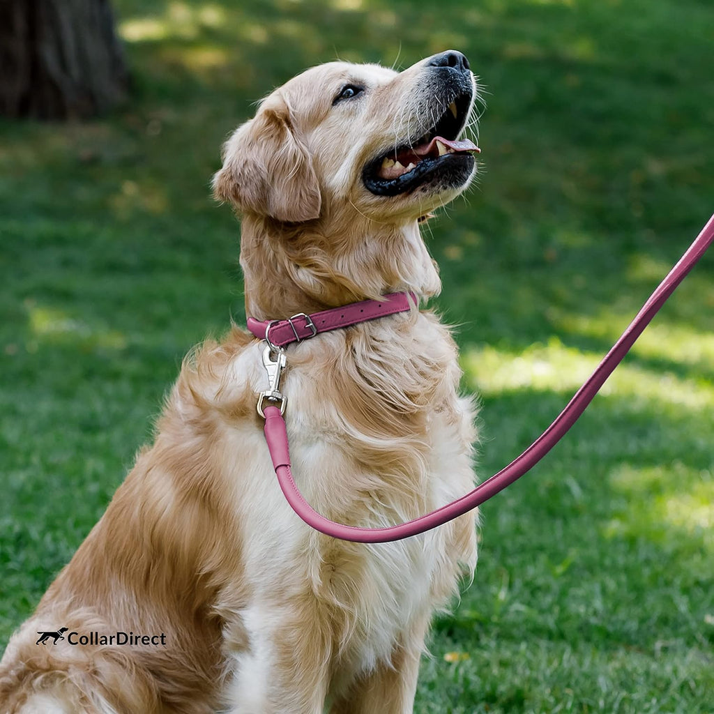 Handmade Soft Padded Rolled Leather Dog Collar - Genuine Leather for Small and Large Dogs and Cats - Available in Black, Pink, Red, Purple, and Blue (Total Length 9", Pink)
