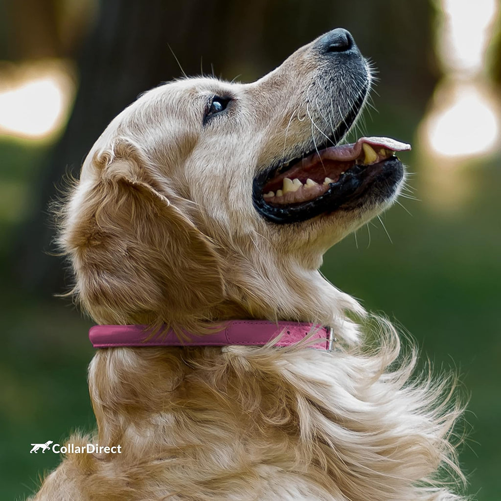 Handmade Soft Padded Rolled Leather Dog Collar - Genuine Leather for Small and Large Dogs and Cats - Available in Black, Pink, Red, Purple, and Blue (Total Length 9", Pink)